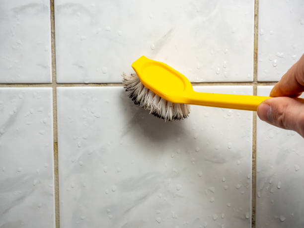 Best Mold Remediation Services  in Spring Hill, TN