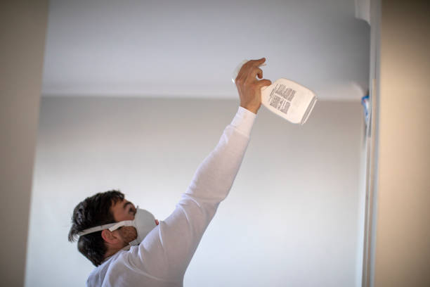 Best Professional Mold Removal  in Spring Hill, TN