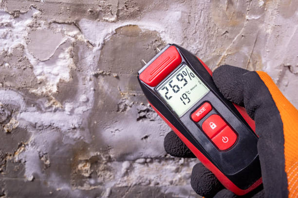 Best Attic Mold Removal  in Spring Hill, TN